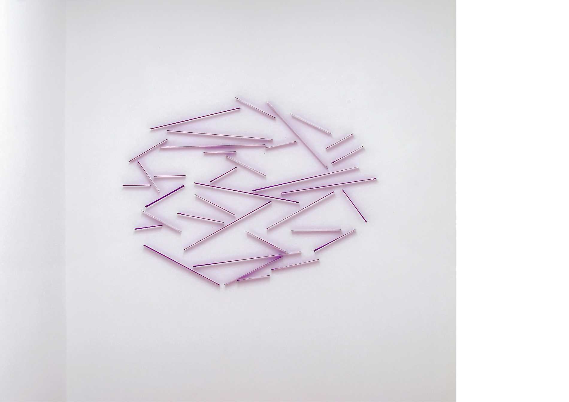 oval_#1_2020_tissue, steel pins_100 x 140 x 3 cm